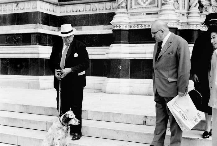 Image23-6 Hund